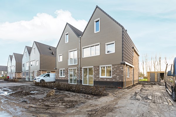 04-Moerasorchidee 29 - Lelystad.JPG